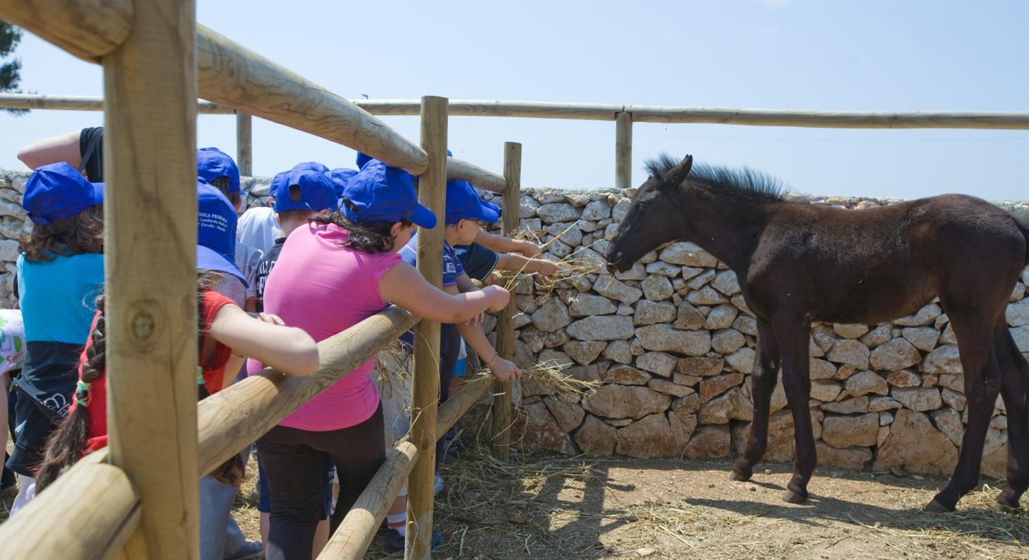 Agriturismo Scalelle Otranto Zewnętrze zdjęcie