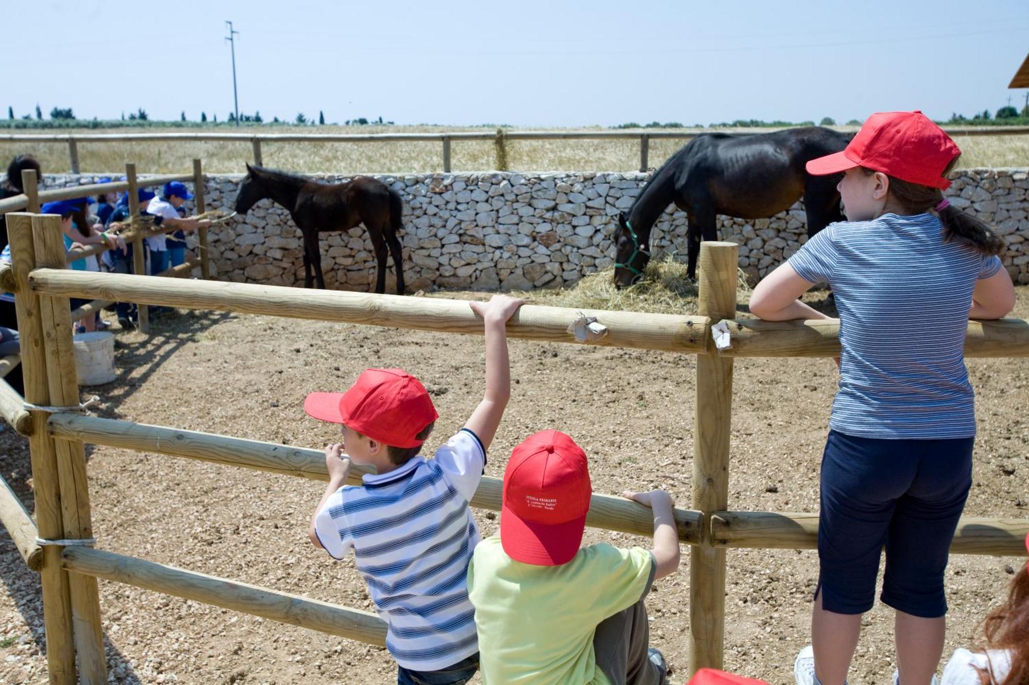 Agriturismo Scalelle Otranto Zewnętrze zdjęcie