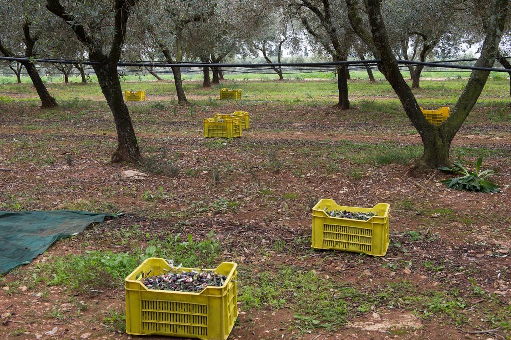 Agriturismo Scalelle Otranto Zewnętrze zdjęcie
